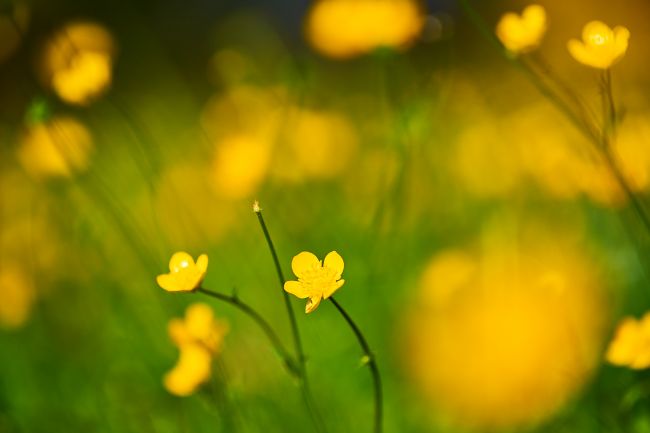 appreciating the spring 2