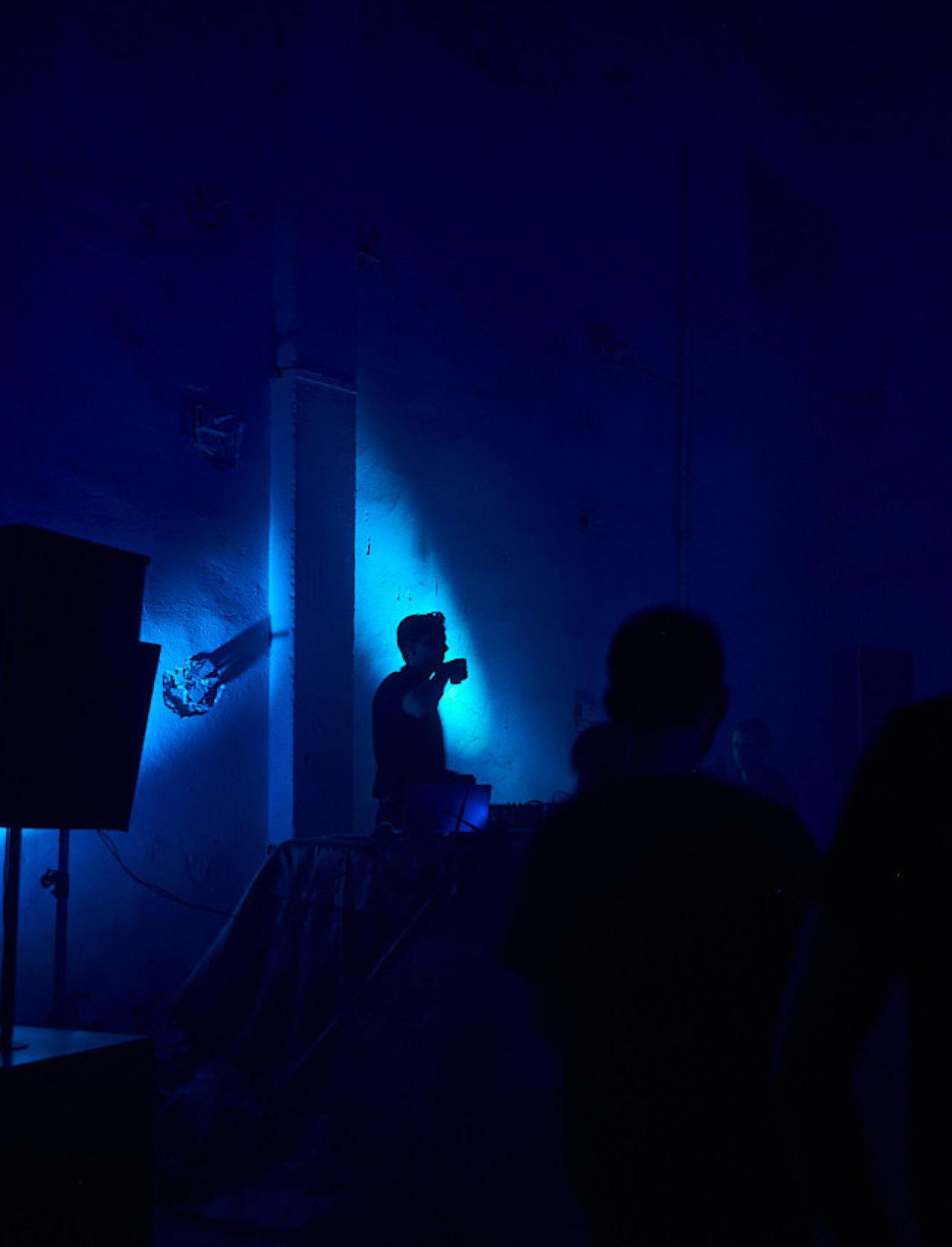 dj silhouette at the rave party