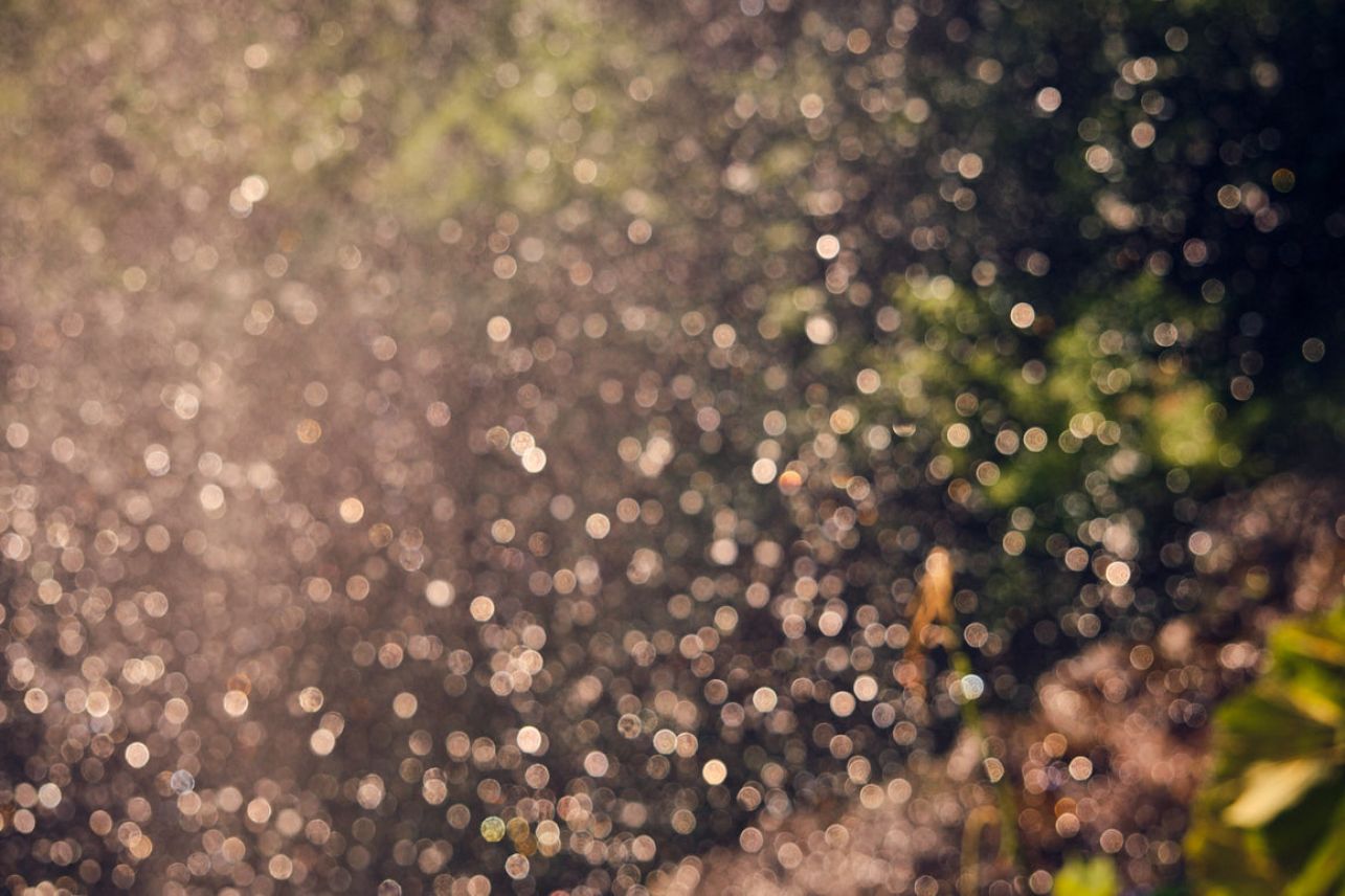 bokeh photo of the waterfall