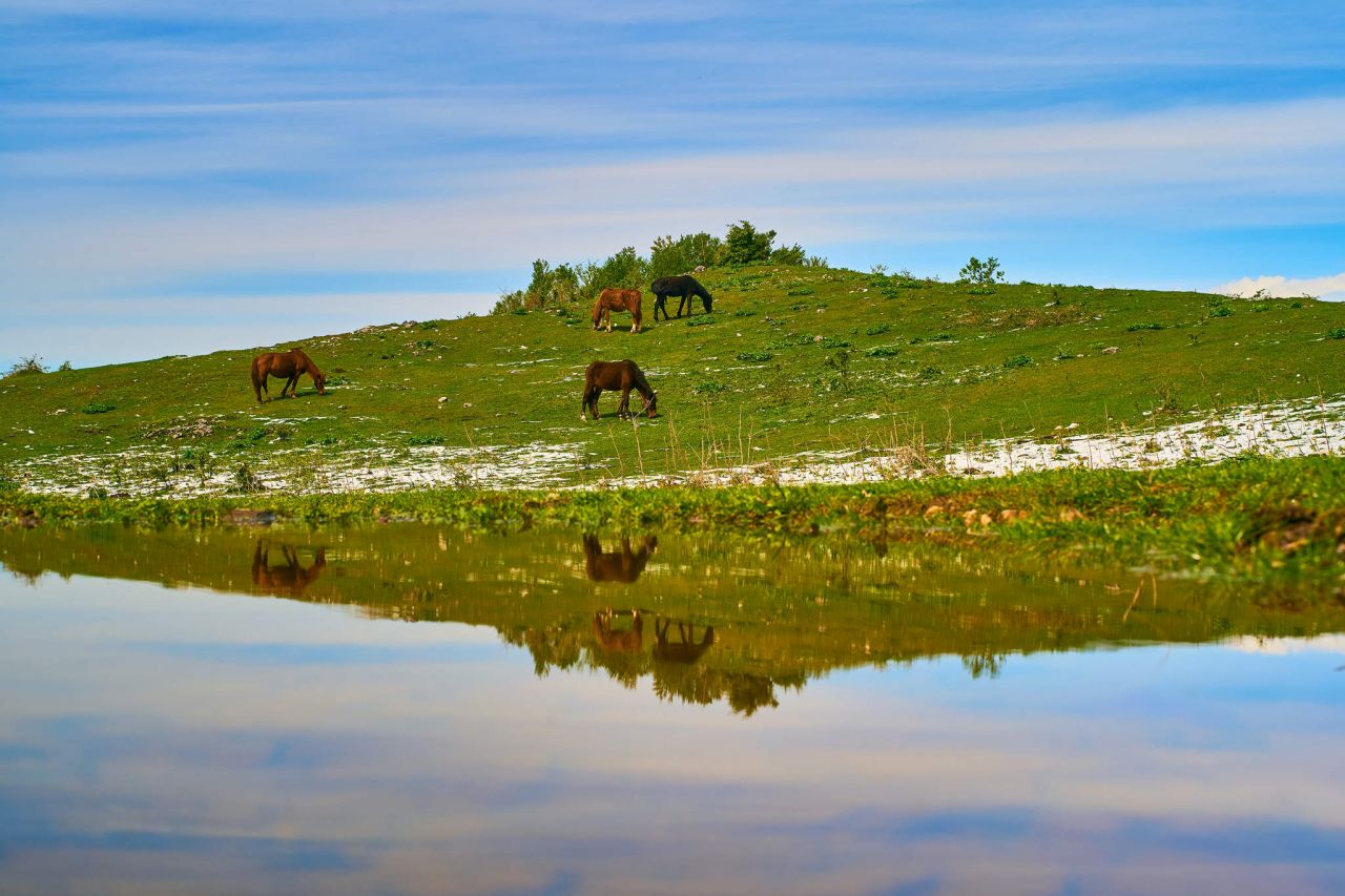 reflecting the tranquility