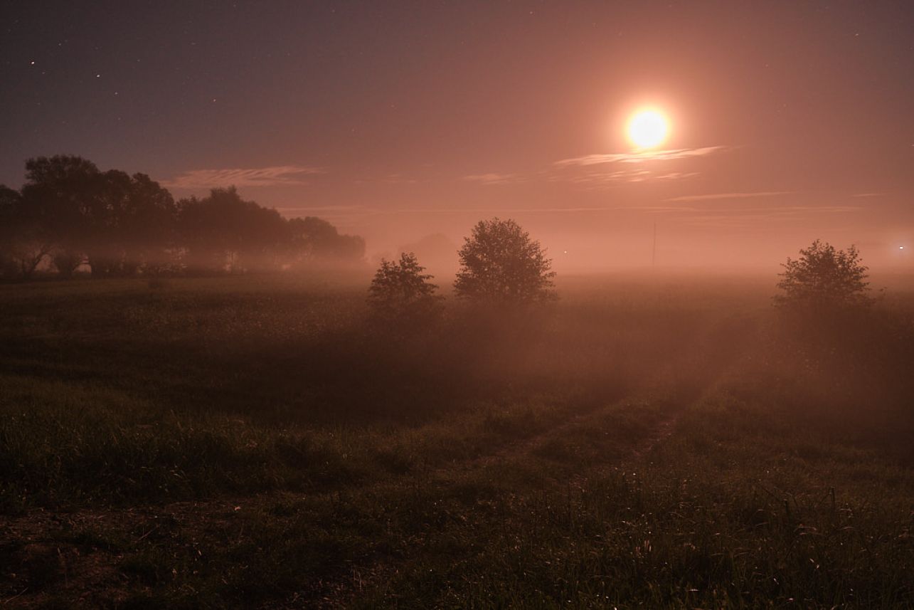 photo of the moon over the foggy meadow