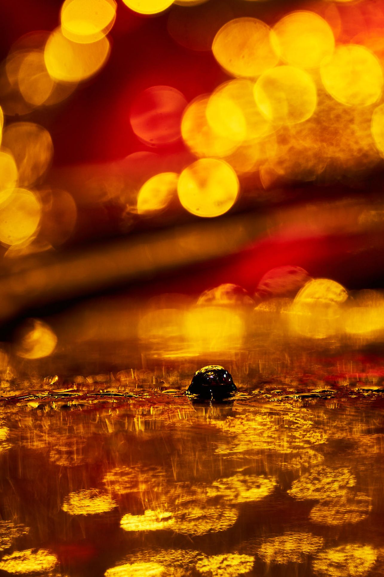 bokeh in new year decorations