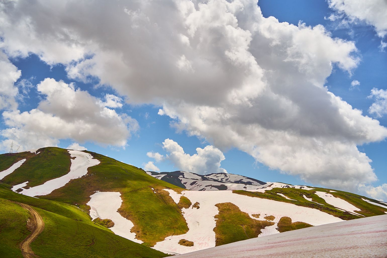 view to the distant mountains in trees