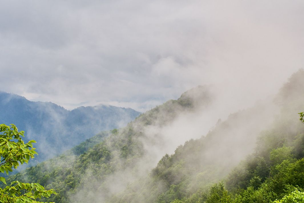 abstract nature photo at sunset near the sea
